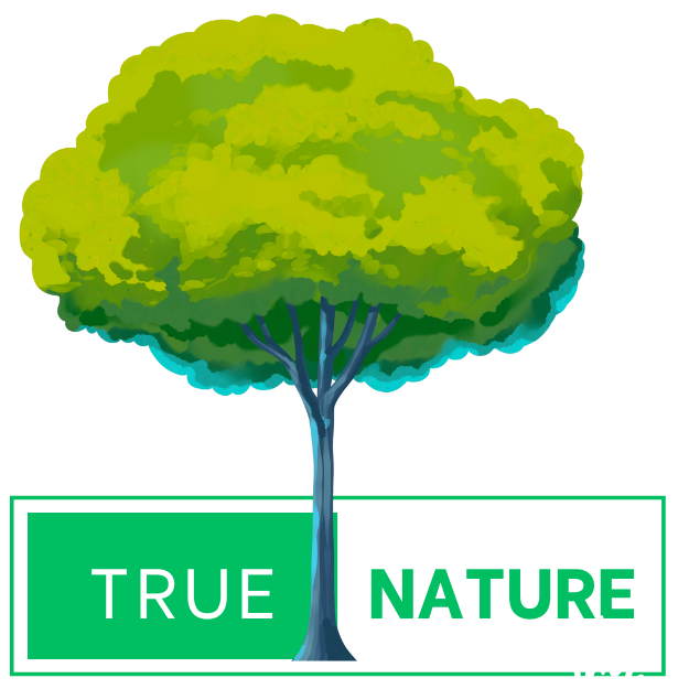 truewhite2